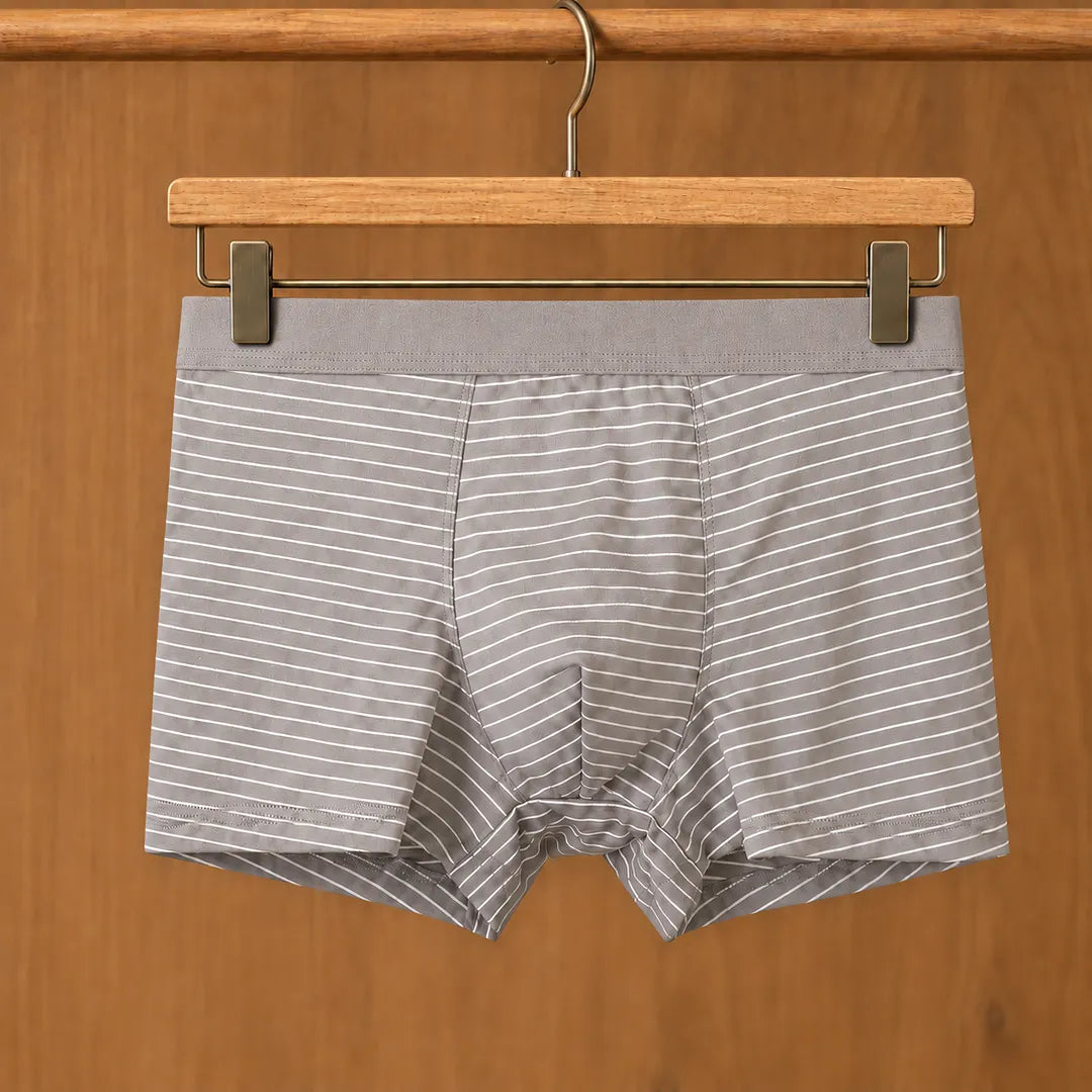 Fine Stripe Boxer Briefs