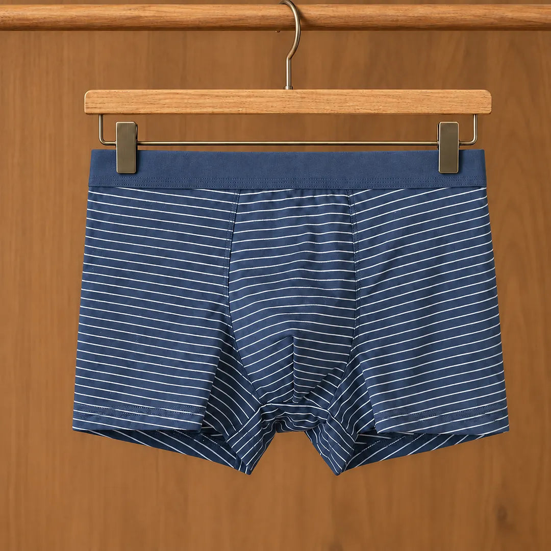 Fine Stripe Boxer Briefs