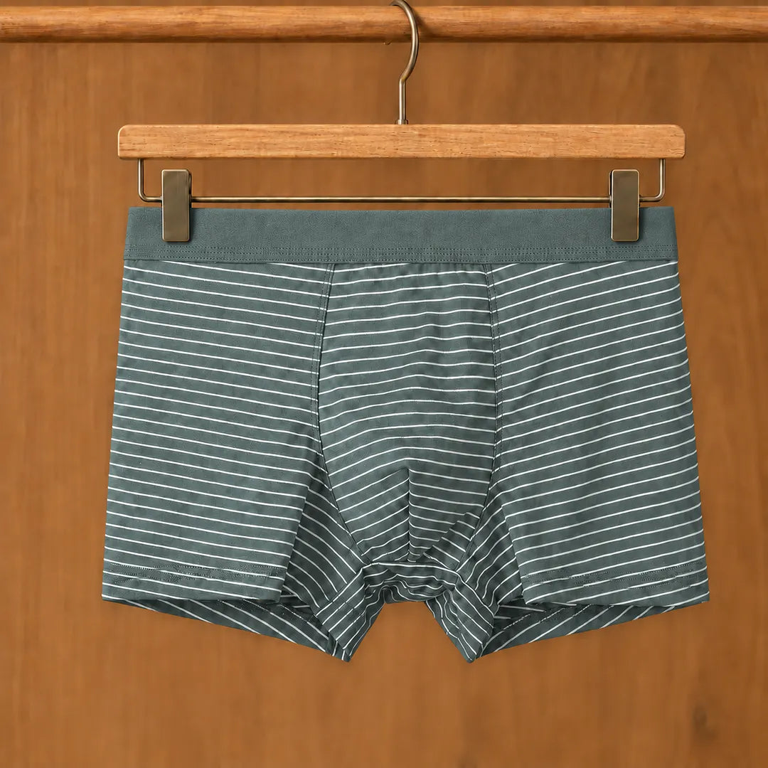 Fine Stripe Boxer Briefs