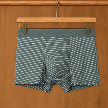 Fine Stripe Boxer Briefs