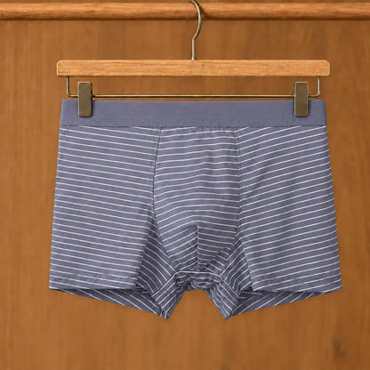 Fine Stripe Boxer Briefs